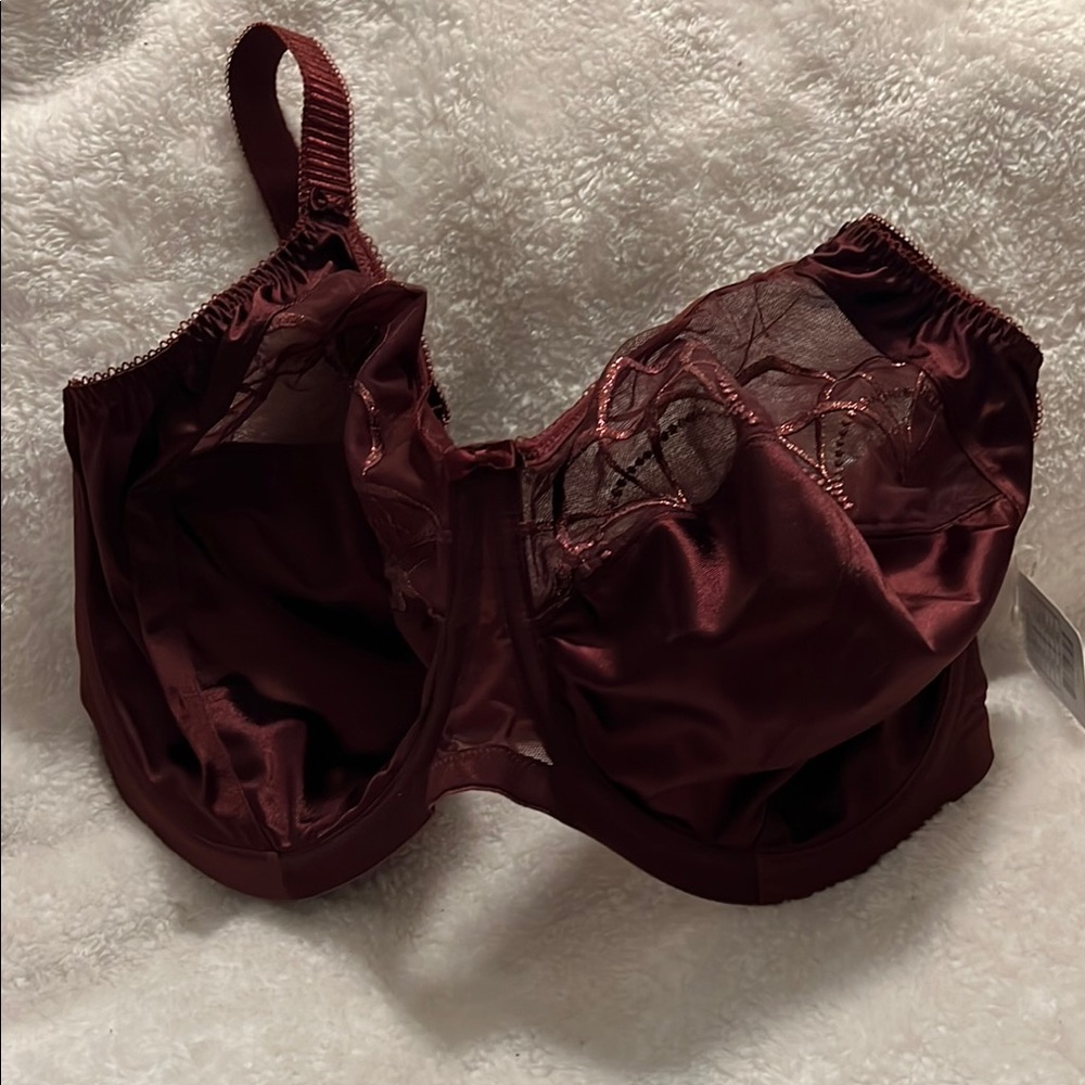 Elegant Burgundy Lace Bra